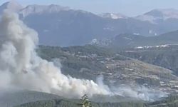 Yine ormanlar yine yangın!