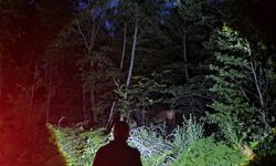 Ayıyla karşılaşsanız ne yaparsınız? Ormancılar fotoğrafını çekti