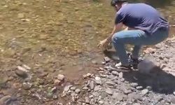 Bidona sıkışan kaplumbağa kurtarıldı