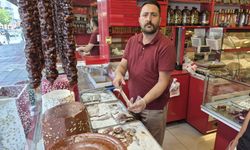 Adıgüzel kardeşler: "Portakallı cezeryeyi Türkiye'de ilk ve tek biz ürettik"