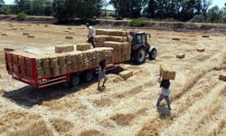 Tekirdağ'da balya bağlama ile açık alanda ateş yakılması yasaklandı