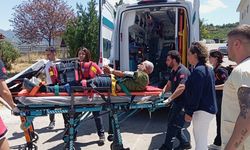 Engerek yılanı ısırdı, jandarma havadan yetişti