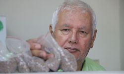 Türkiye'nin 'Dijital Toprak Haritası' oluşturuluyor