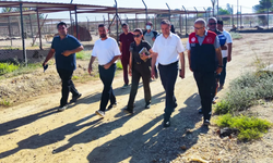 Tarsus geçici hayvan bakımevi temmuz ayı denetlendi