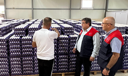 Tarsus'ta günlük 84 bin yumurtalık üretime ziyaret