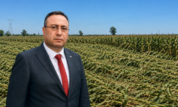 Başkan Avcı: ''Fırtınanın en büyük zararını mısır üreticisi yaşadı''