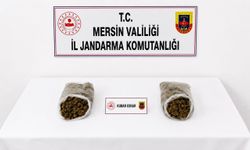 Yasaklı madde satıcılarına jandarma darbesi