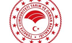 Evcil hayvanıyla yurt dışına çıkacaklara uyarı