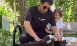 2 günlük yetim kuzuya anne şefkati