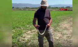 Yılana uzanan şefkatli el