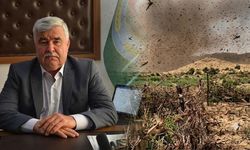 Mersin’de çekirge paniğine son noktayı Ziraat Odası koydu
