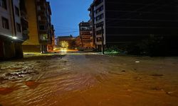 Sel felaketinde 2,2 Milyon TL zarar