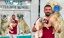 Veteriner hekim Şerafettin Oğuz’dan evcil hayvan sahiplerine kritik uyarılar