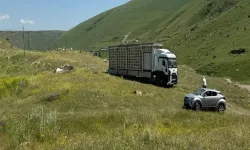 Karslı arıcıdan Türkiye'den bir ilk
