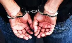 'Fidan Hoca' olarak bilinen sanal medya kullanıcısı gözaltına alındı