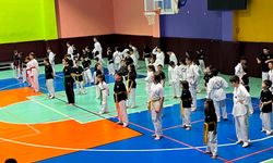 Geleceğin şampiyonları Mezitli’de taekwondo ile yetişiyor
