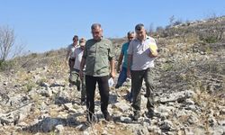 Yanan sahalar yeniden hayat buluyor