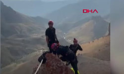 AFAD ekipleri 4 keçiyi kurtardı