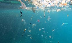 'Akdeniz'deki mikroplastik sorunu çözülmezse turizm sekteye uğrar'