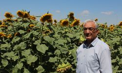 Aksaray'dan Japonya'ya