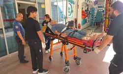Çiftlikte alacak kavgası: 3 el ateş edip kaçtı
