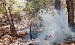 Antalya'da yangın