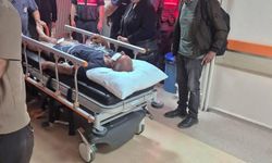 Ayı saldırısına uğradı, köpekleri sayesinde kurtuldu