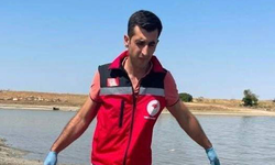 Çerkezmüsellim Göleti’nde toplu balık ölümleri