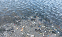 Mersin’de balıkçı barınağı istikametinde deniz kirliliği dikkat çekiyor