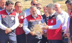 Bakan Yumaklı: Hasat sezonunu 140 milyon tonluk rekor üretimle kapatacağız