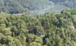 Orman yangını kontrol altına alındı