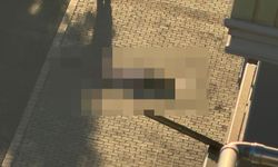 Midyat’ta balkondan düşen Bedriye Naz’ın eşi tutuklandı