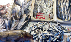 Mersin'de çupranın kilosu 400 TL