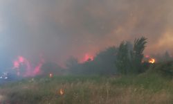 Çanakkale’de otlukta çıkan yangın ormana sıçradı