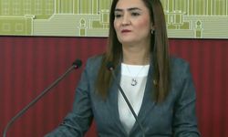 CHP'den çerçeve yasa mesajı