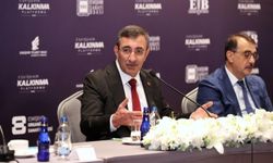 Cumhurbaşkanı Yardımcısı Yılmaz: Vatandaşın yastık altı, Merkez Bankası rezervinden büyük