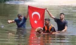 Denizli'de 8 asırlık gelenek; koyunlarını nehirden geçirdiler