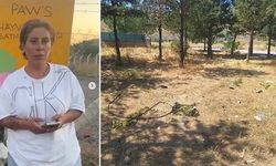 Dernek başkanı hayvansever Mutlu’nun öldürülmesiyle ilgili ağabeyi ve 4 kişi tutuklandı