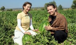 Üniversiteyi bitirdiler, ata toprağına döndüler