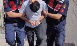 Edremit’teki orman yangına ilişkin 1 tutuklama
