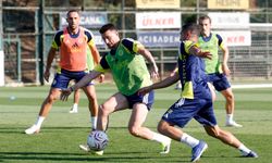 Fenerbahçe, Sturm Graz mesaisinde