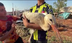 Yorgun düşen leyleğe 12 yaşındaki Mahmut sahip çıktı