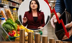Milletvekili Gülcan Kış: Asgari ücret yedi ayda 5 bin 575 lira eridi
