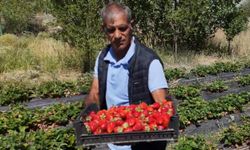 Hobi olarak başladı kârlı çıktı