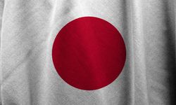 Japonya'da şiddetli yağışta 8 kişi yaşamını yitirdi