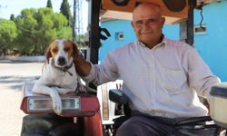 En güzel dostluk, aynı yolda yürüyenlerinki