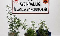 Yasaklı madde operasyonu 3 gözaltı