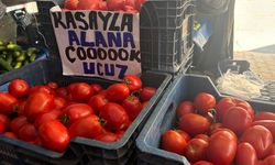 Pazarın yıldızı bu hafta 'Domates'