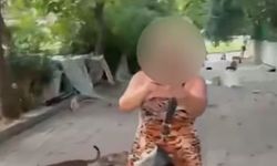 Kedileri beslediği gerekçesiyle psikiyatri kliniğine yatırıldı