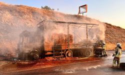 Manisa'da seyir halindeki TIR alev alev yandı